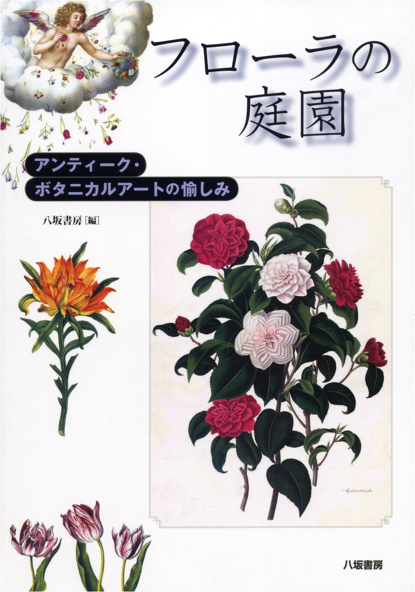 Flora's Garden: The Delights of Antique Botanical Art