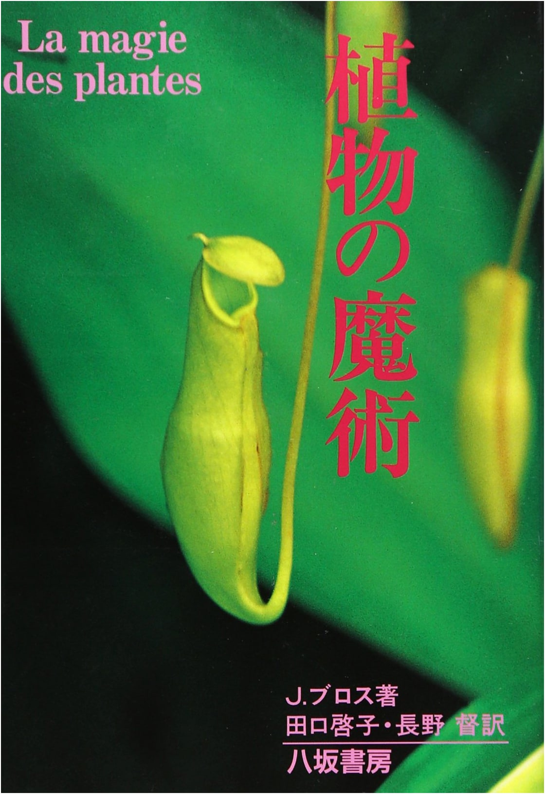 The Magic of Plants