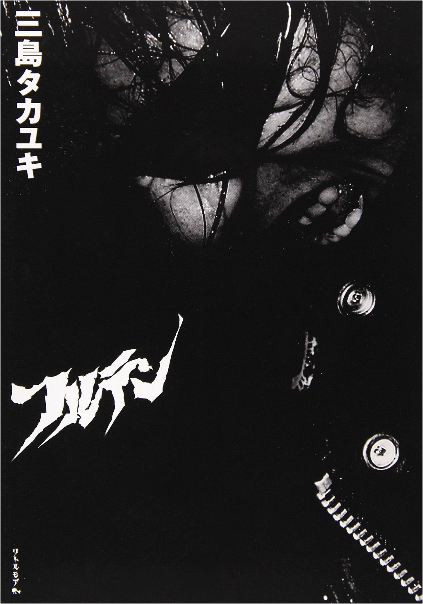 Furutten: A Guitar Wolf Photo Collection