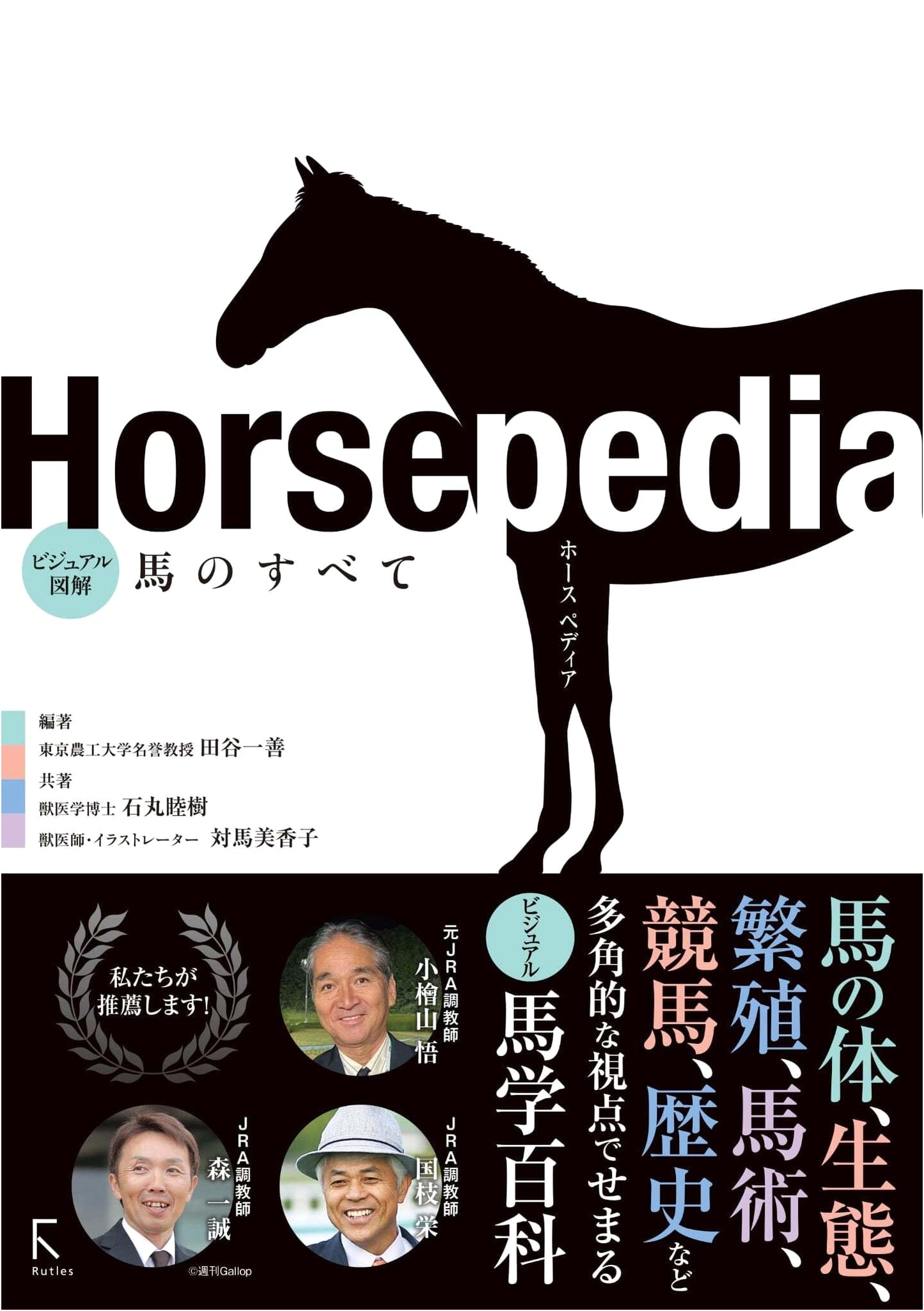 Horsepedia: A Visual Encyclopedia of Everything About Horses