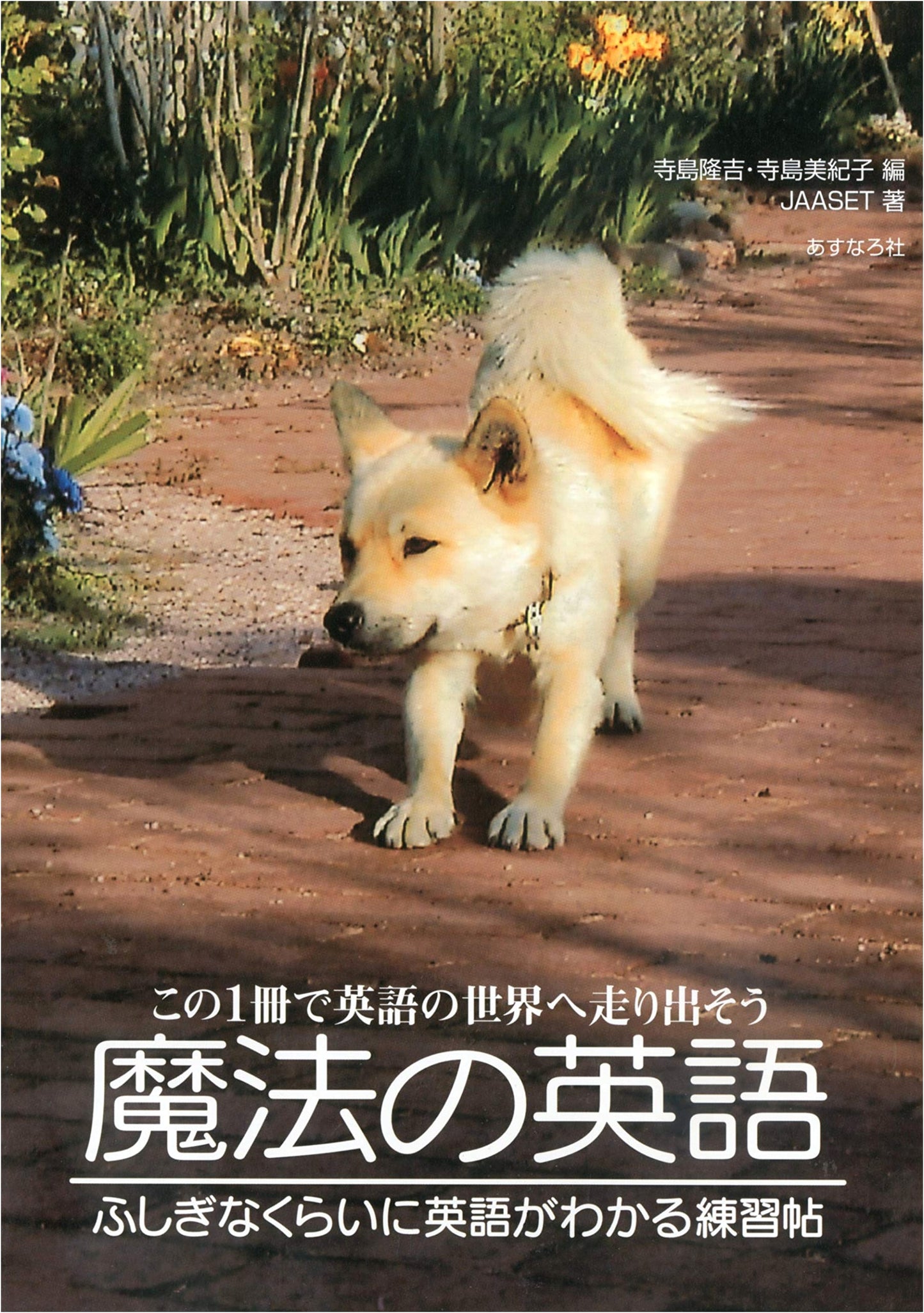 Magic English: A Surprisingly Clear English Practice Workbook (Terashima Method)