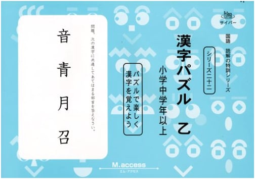 Japanese Language Reading Comprehension Series Vol. 22: Kanji Puzzle B