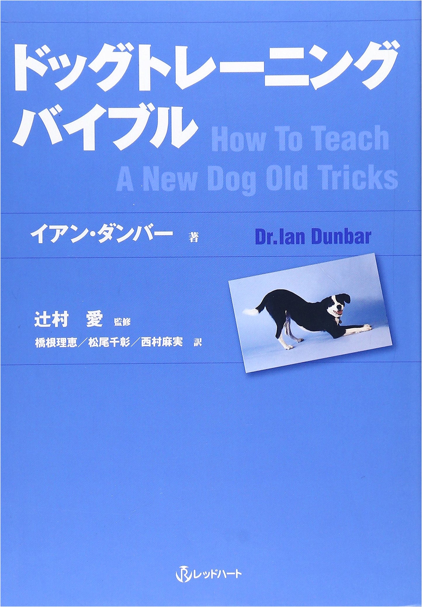The Dog Training Bible: A Comprehensive Guide