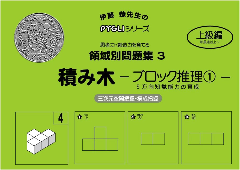 PYGLI Series: Building Block Deduction 1 - Elementary School Entrance Exam Prep (Problem Set 03)