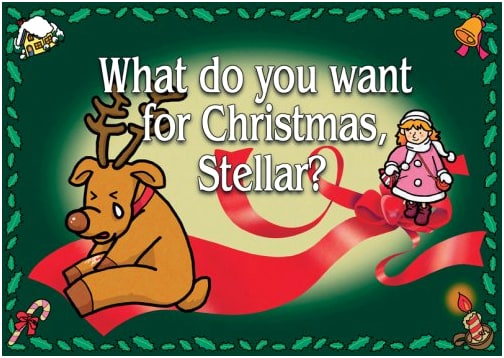 English Kamishibai: What Do You Want for Christmas, Stellar?