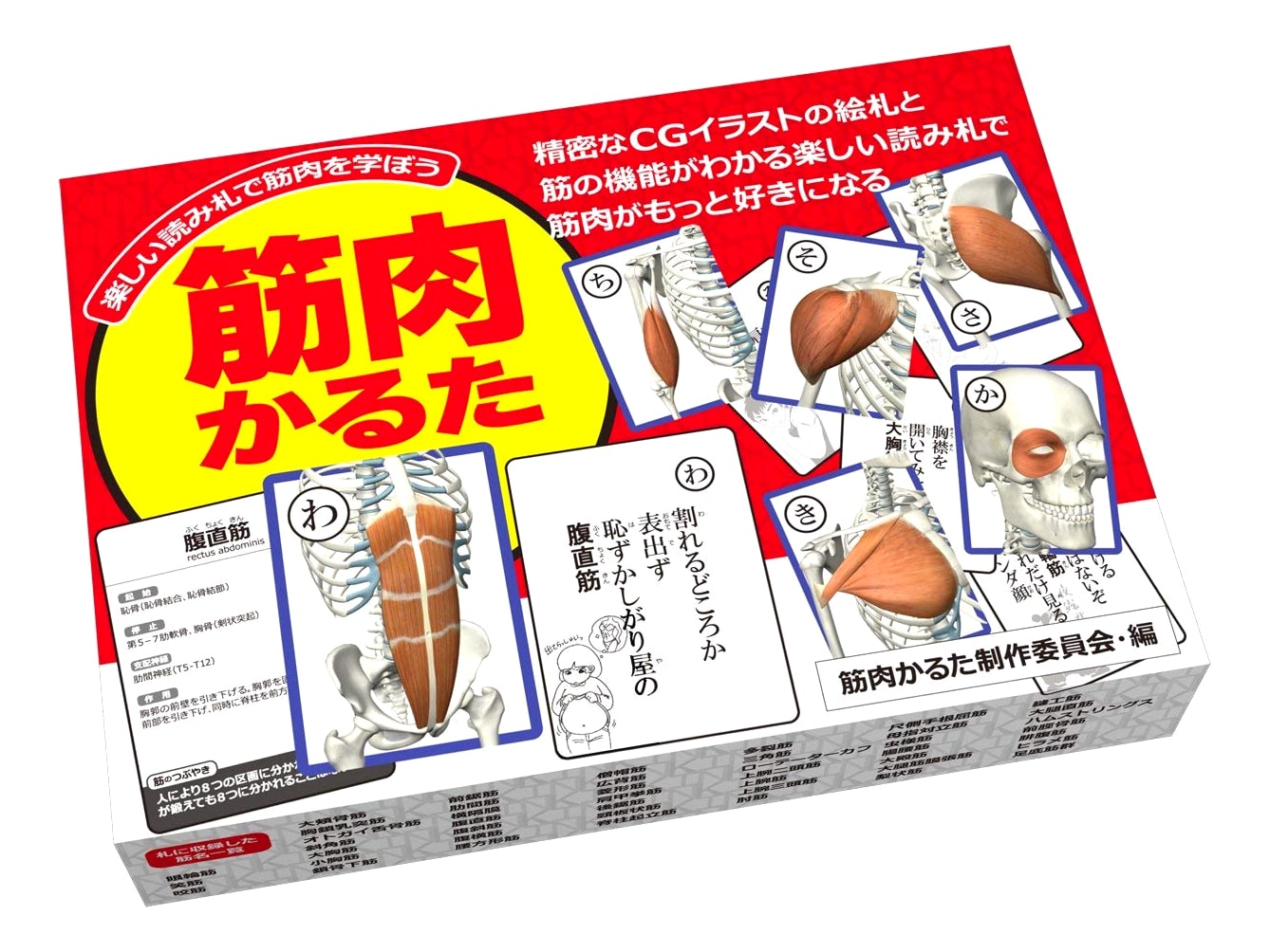 Roundflat Muscle Karuta: Learn Muscles with Fun Cards