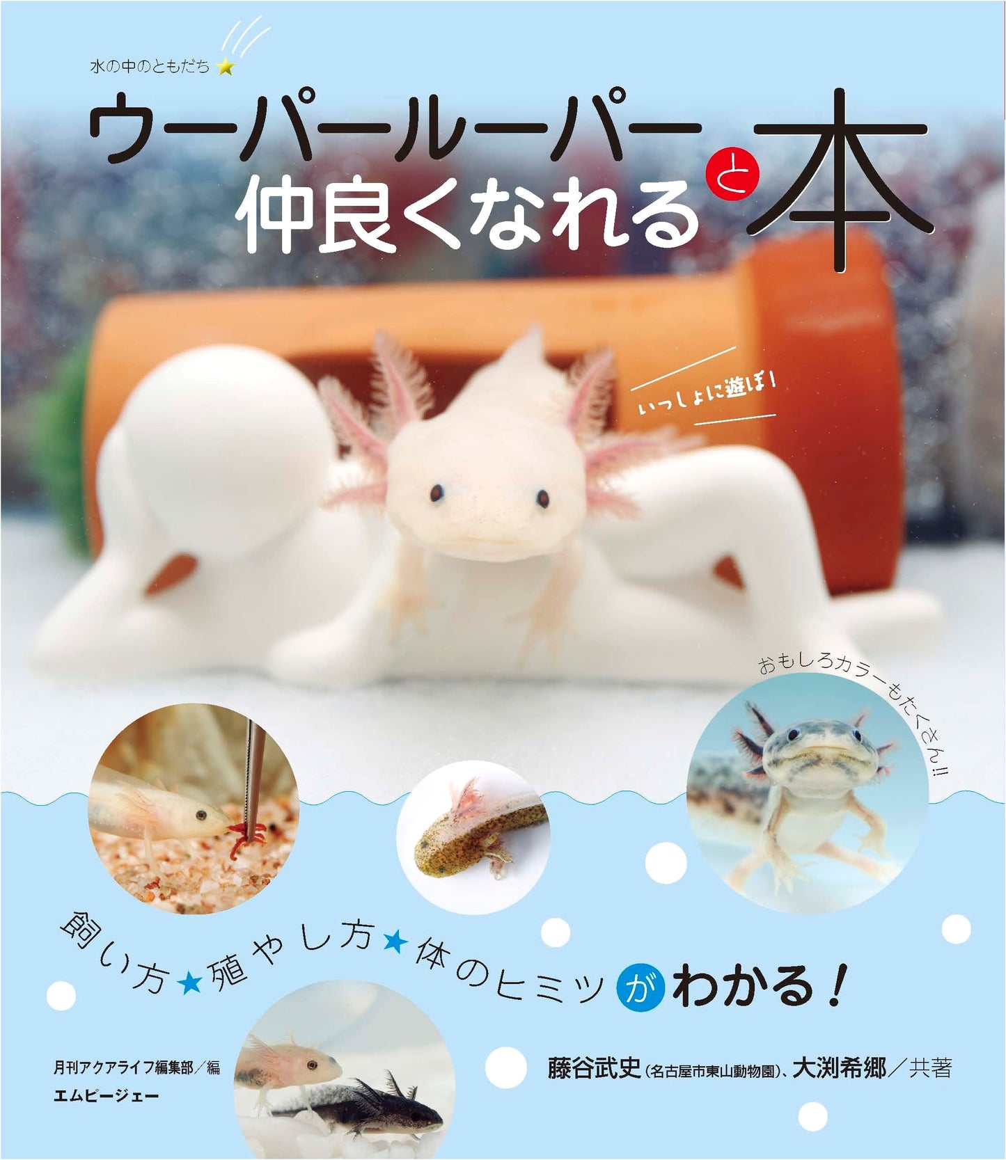 The Axolotl Companion: How to Become Even Better Friends (Aqua Life Book)