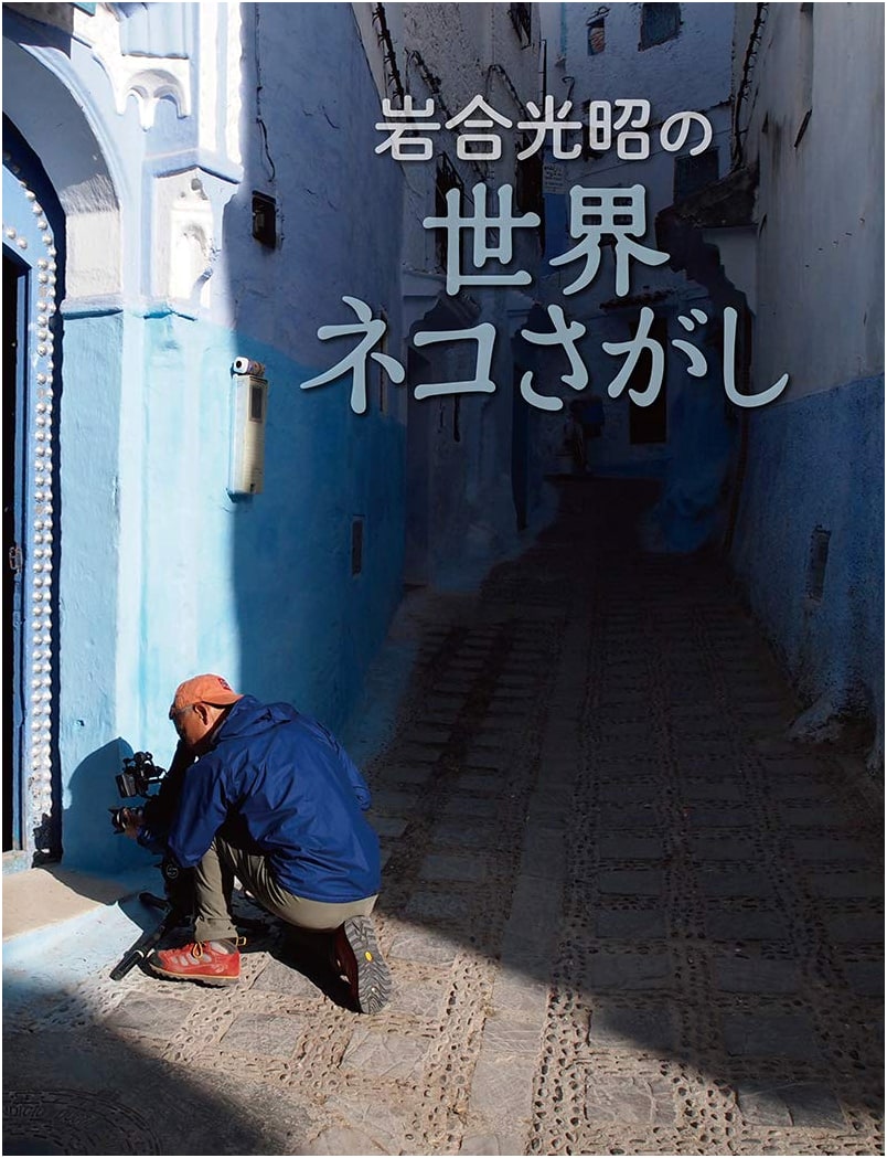Mitsuaki Iwago: A Global Search for the World's Cats