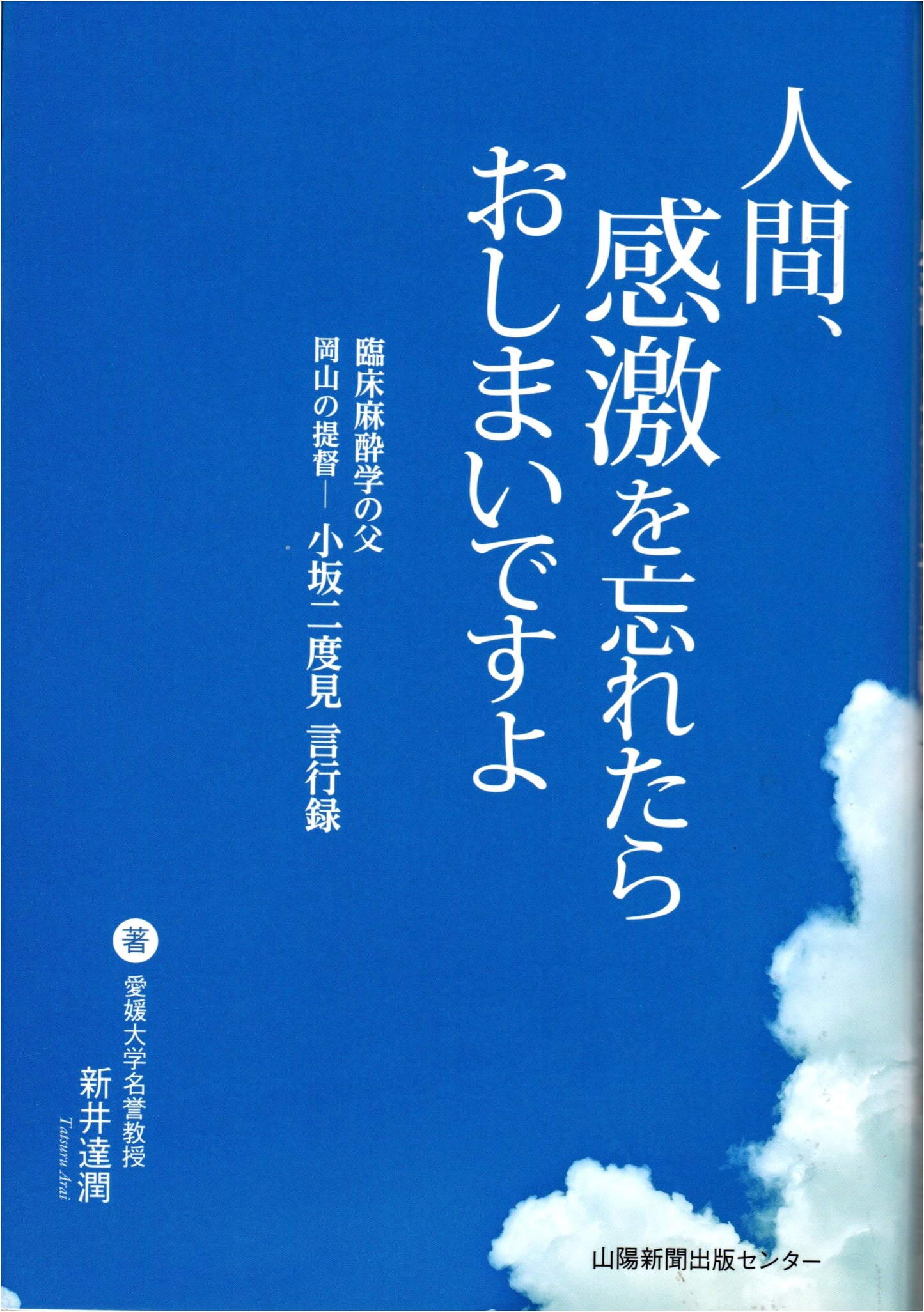 Kosaka Nidomi: Father of Clinical Anesthesiology & Admiral of Okayama - A Legacy of Gratitude