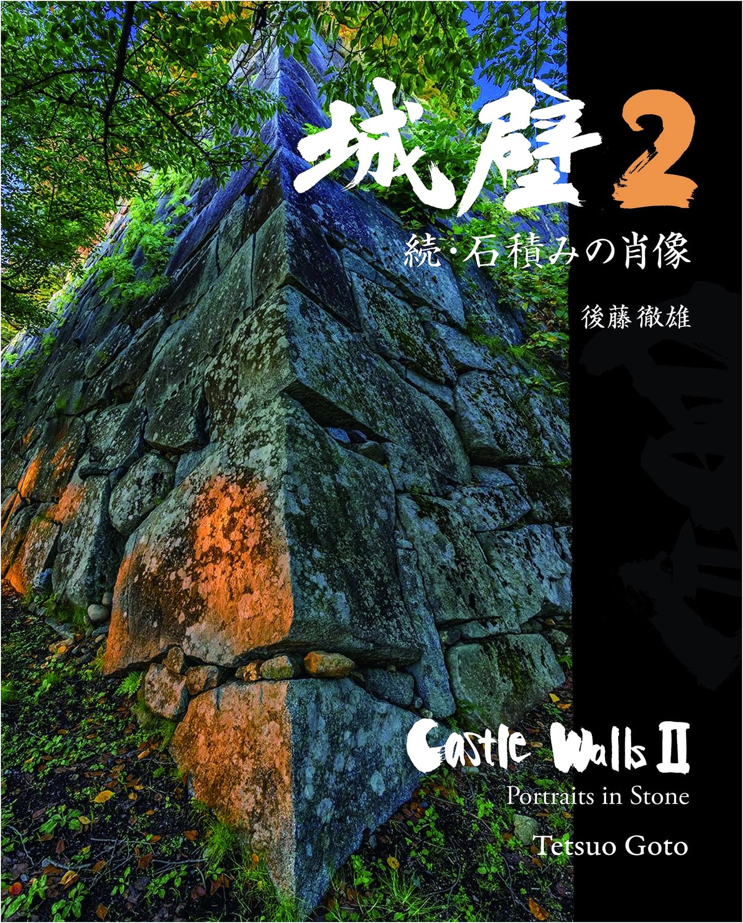 Castle Walls 2: Continued Portrait of Stone Masonry