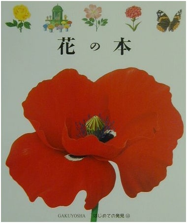 The Book of Flowers: First Discoveries, Volume 13