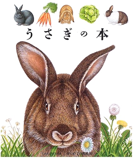 The Book of Rabbits (First Discoveries Series 36)