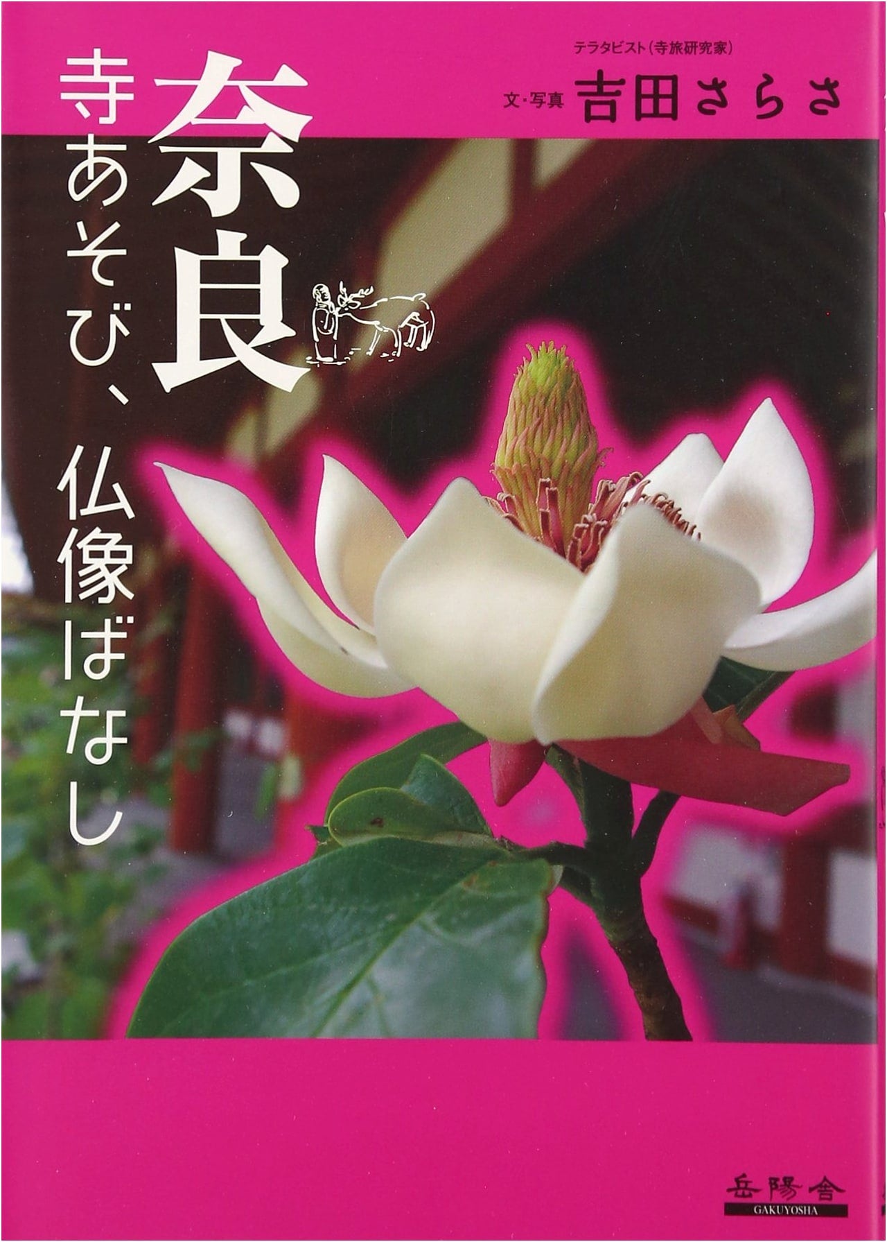 Nara Temple Visits and Buddhist Statue Stories by Sarasa Yoshida