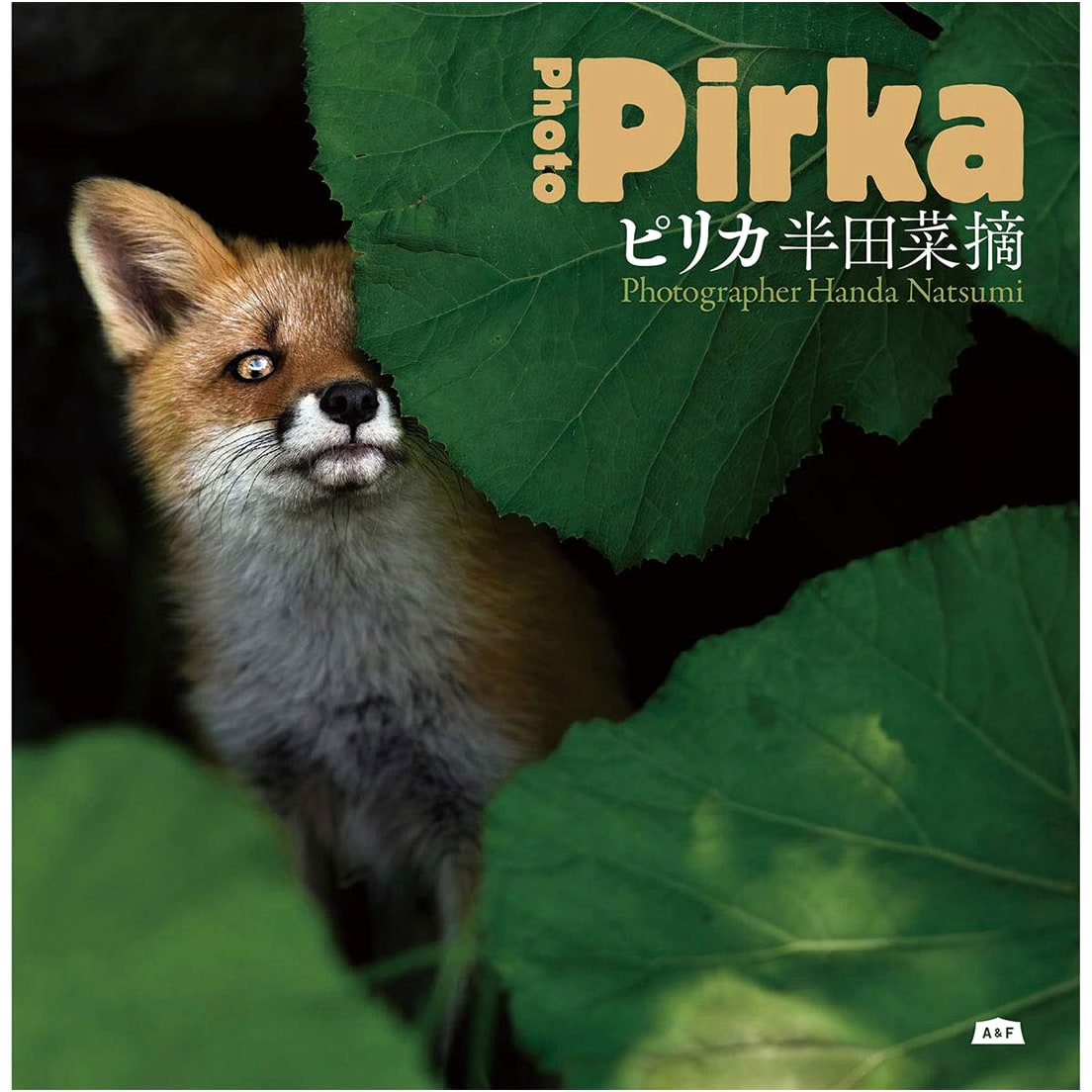 Pirika: A Beautiful Exploration of Japan's Natural Wonders