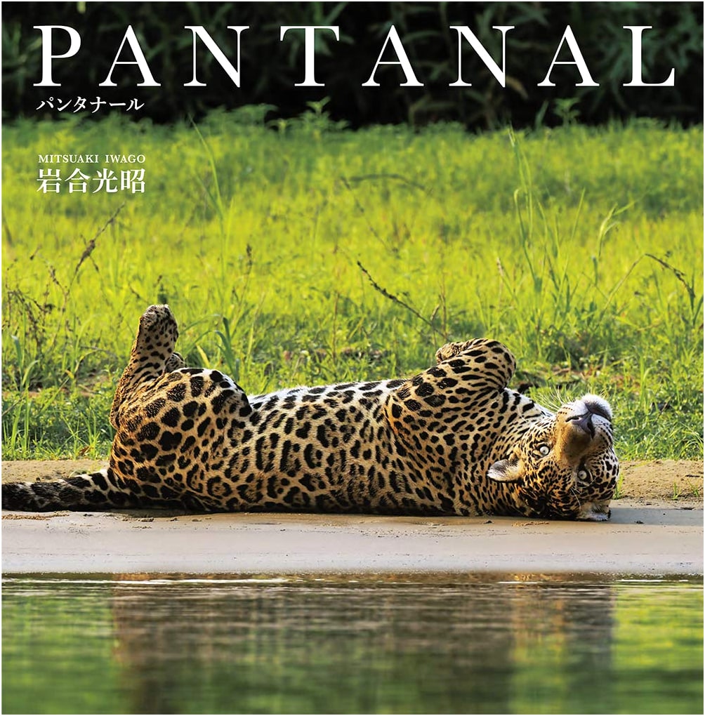 Pantanal: Wildlife Photo Book by Mitsuaki Iwago