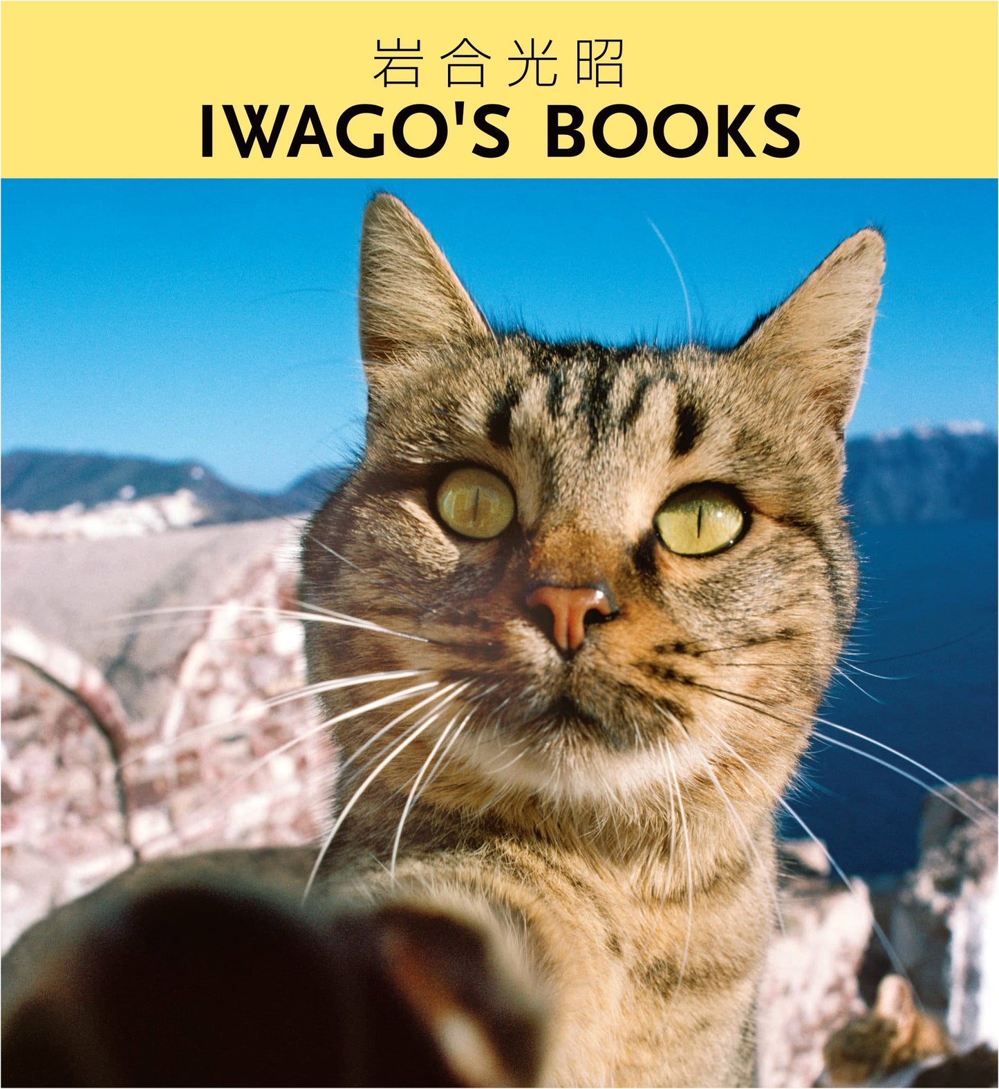 Iwago's Books by Mitsuaki Iwago: A Photographic Journey