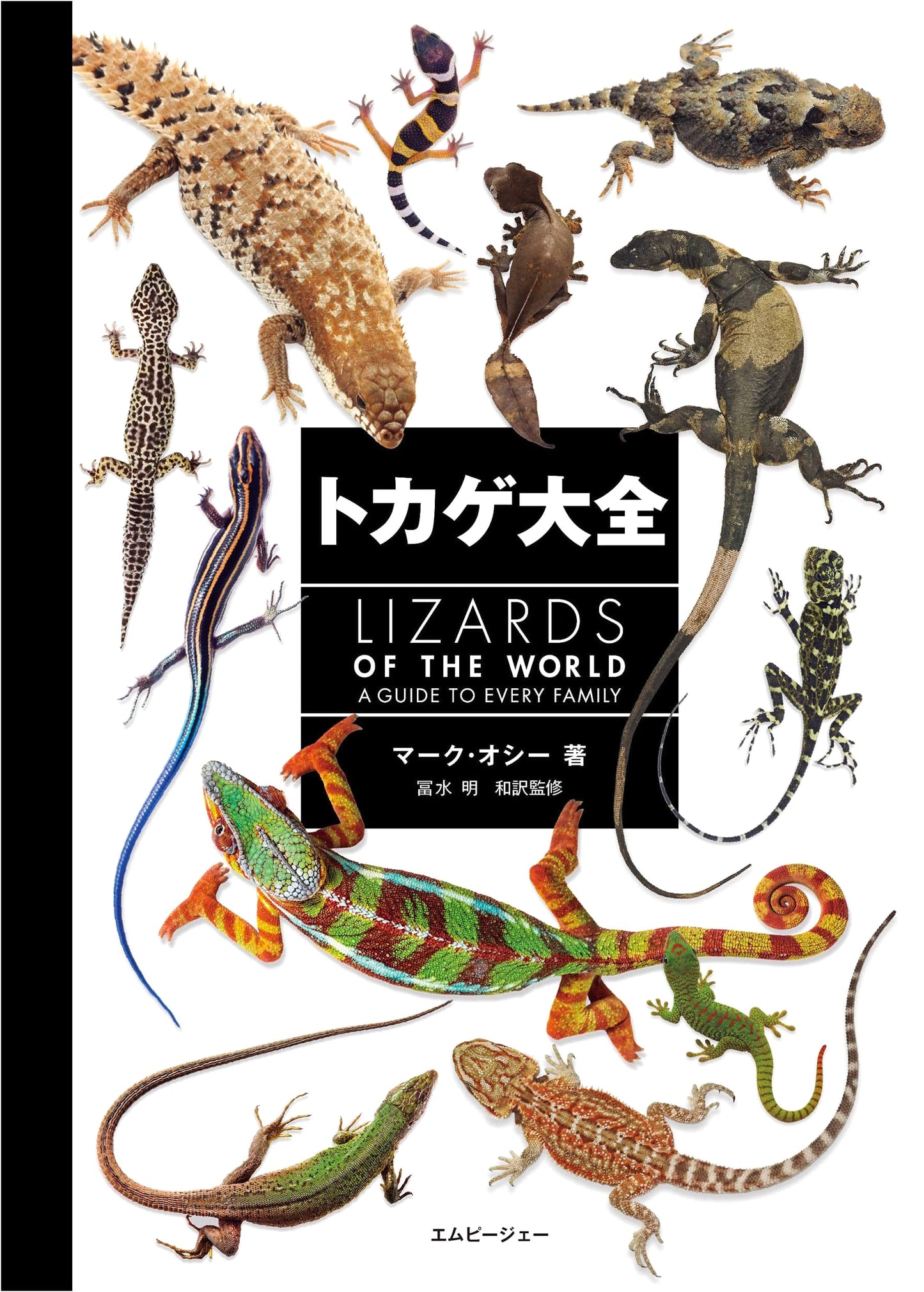 Lizards of the World: A Comprehensive Guide