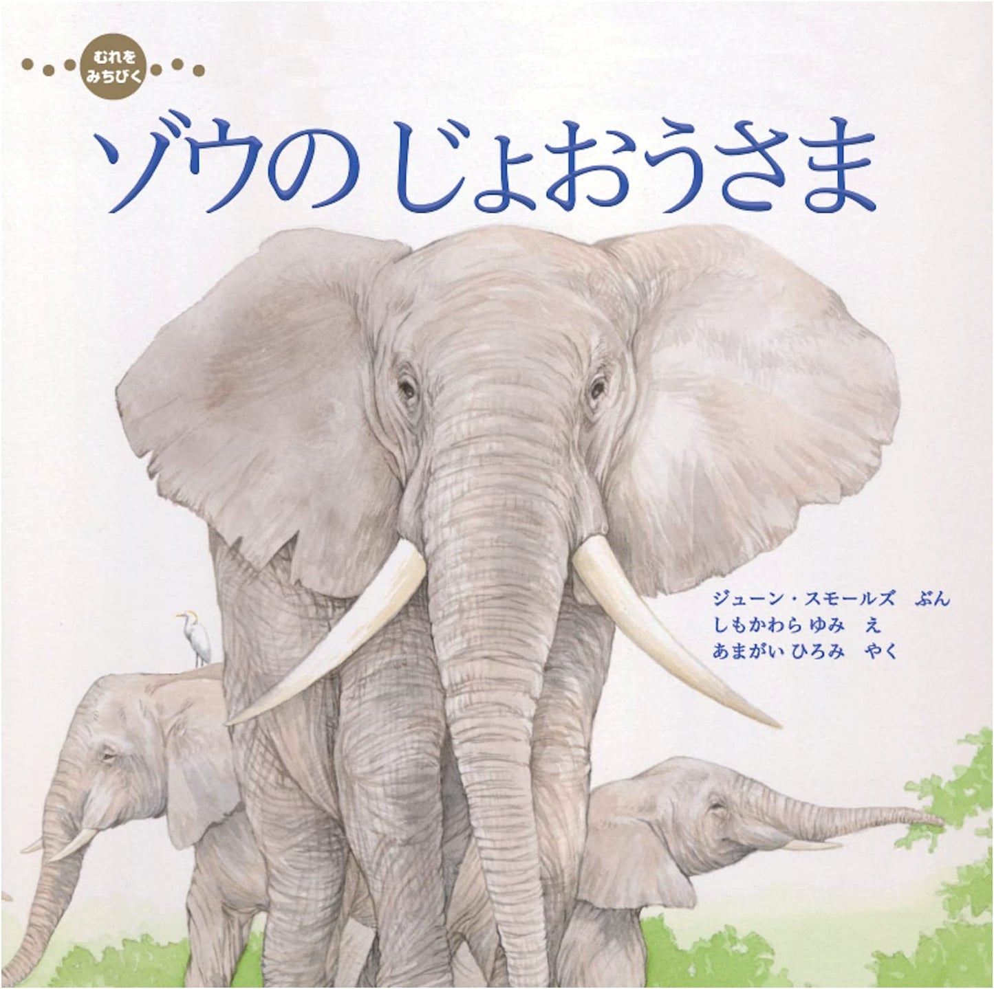 The Elephant Queen Who Leads the Herd (Imagination Unlimited)