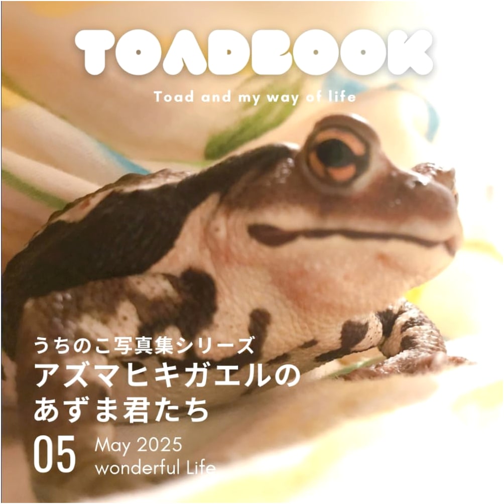 Our Pet Photo Album: Mr. Azuma and the Azuma Toads by Miyuki Ito