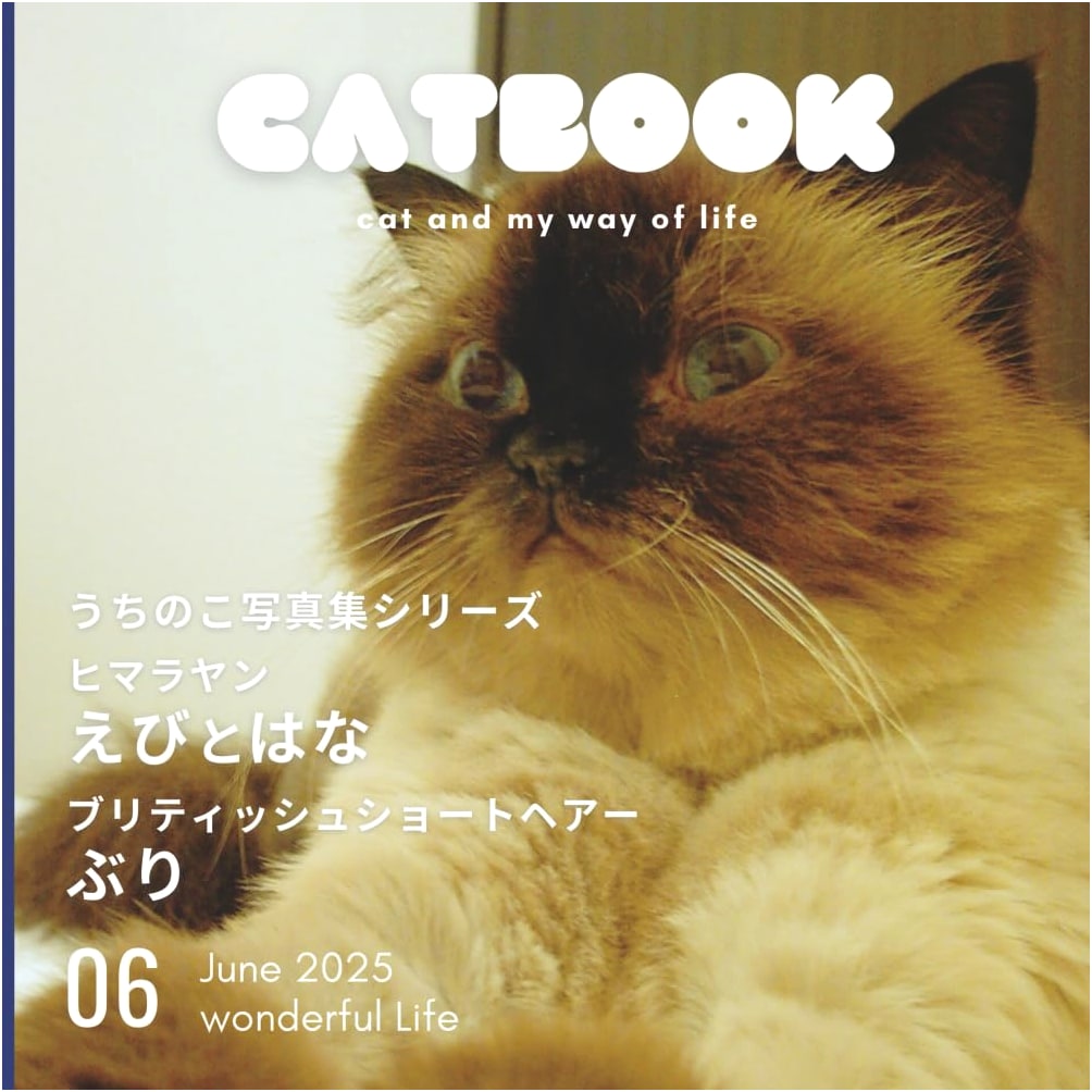 Himalayan, British Shorthair Kitties: Our Cats Photo Album Series