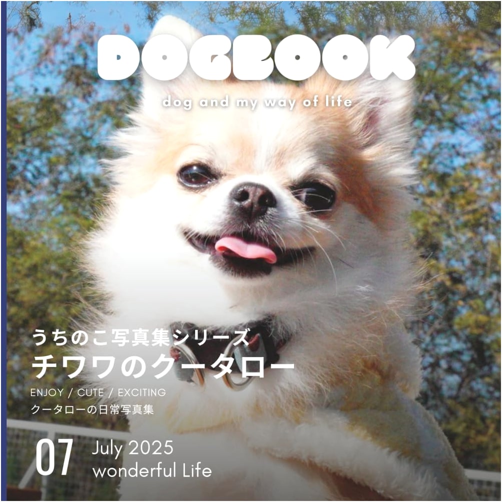 Koutarou the Chihuahua: Our Pet Photo Album Series