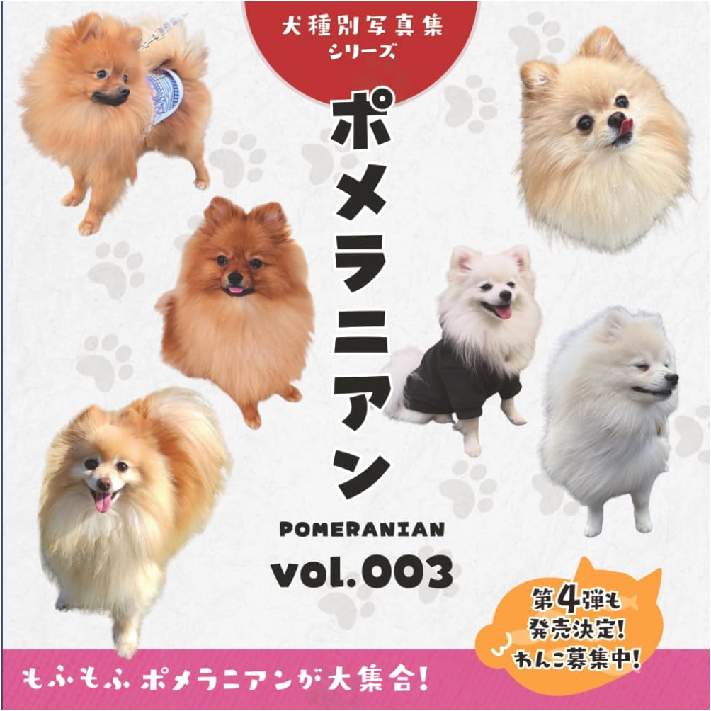 Pomeranian vol.003: Dog Breed Photo Collection Series