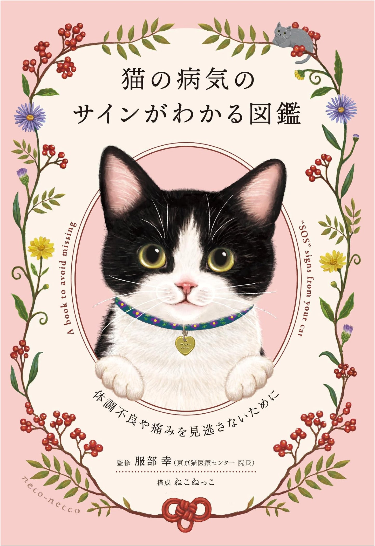 The Illustrated Guide to Cat Health: Spotting Signs of Illness and Pain Early