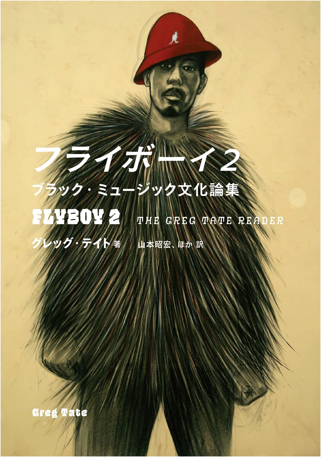 Fly Boy 2: Essays on Black Music Culture (ele-king books)