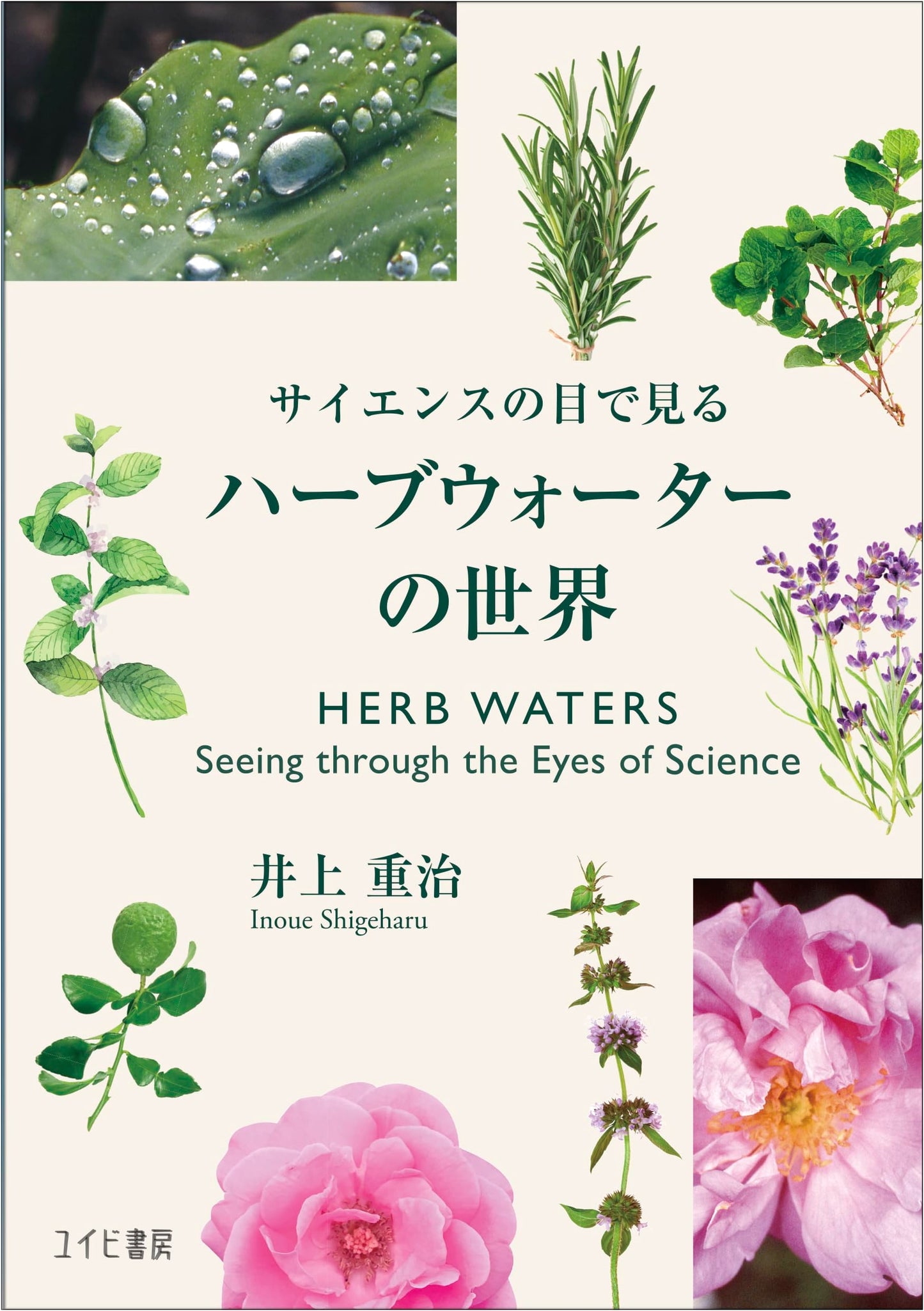 Discovering the World of Herb Water Through Science