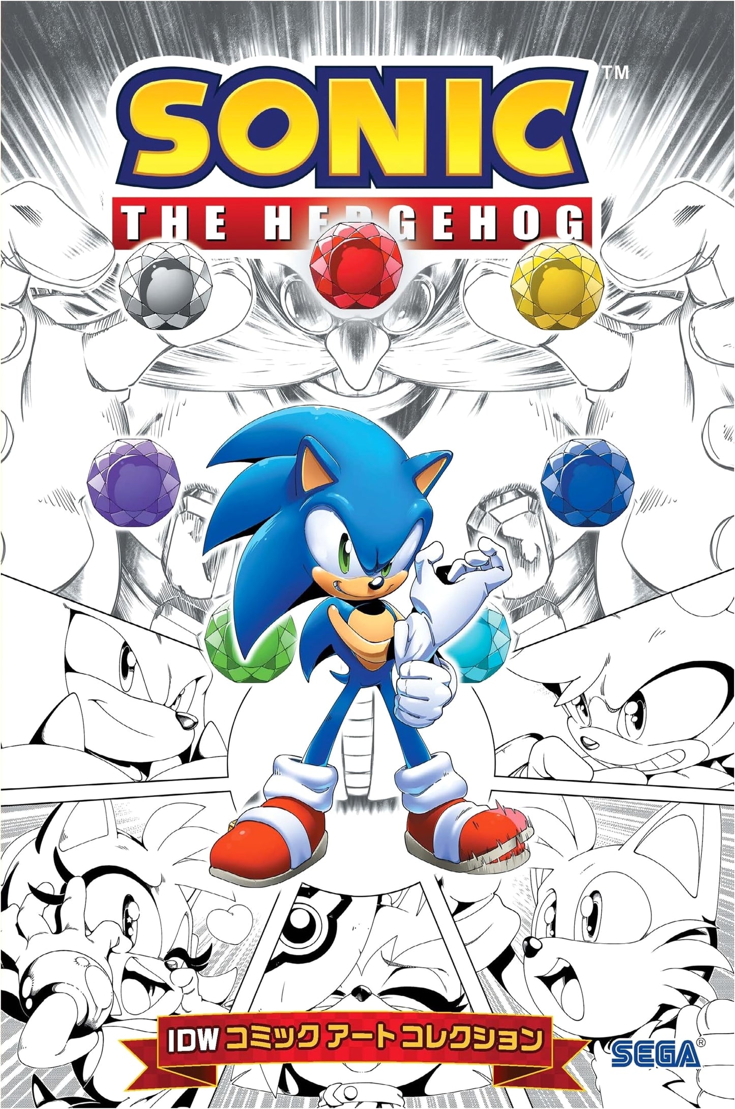 Sonic the Hedgehog: IDW Comic Art Collection by Chris Ryall