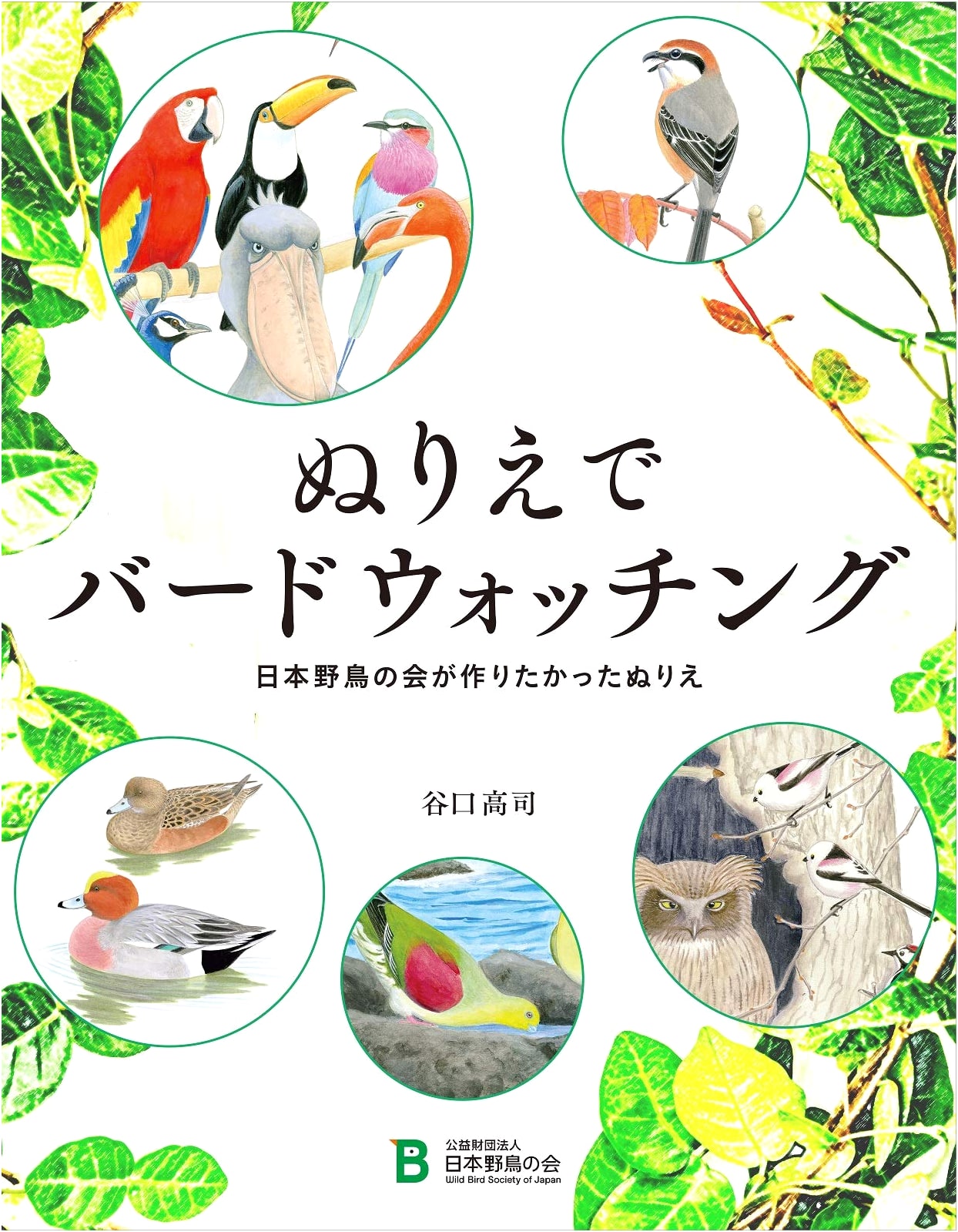 Birdwatching Coloring Book: Wild Bird Society of Japan's Ideal Coloring Book