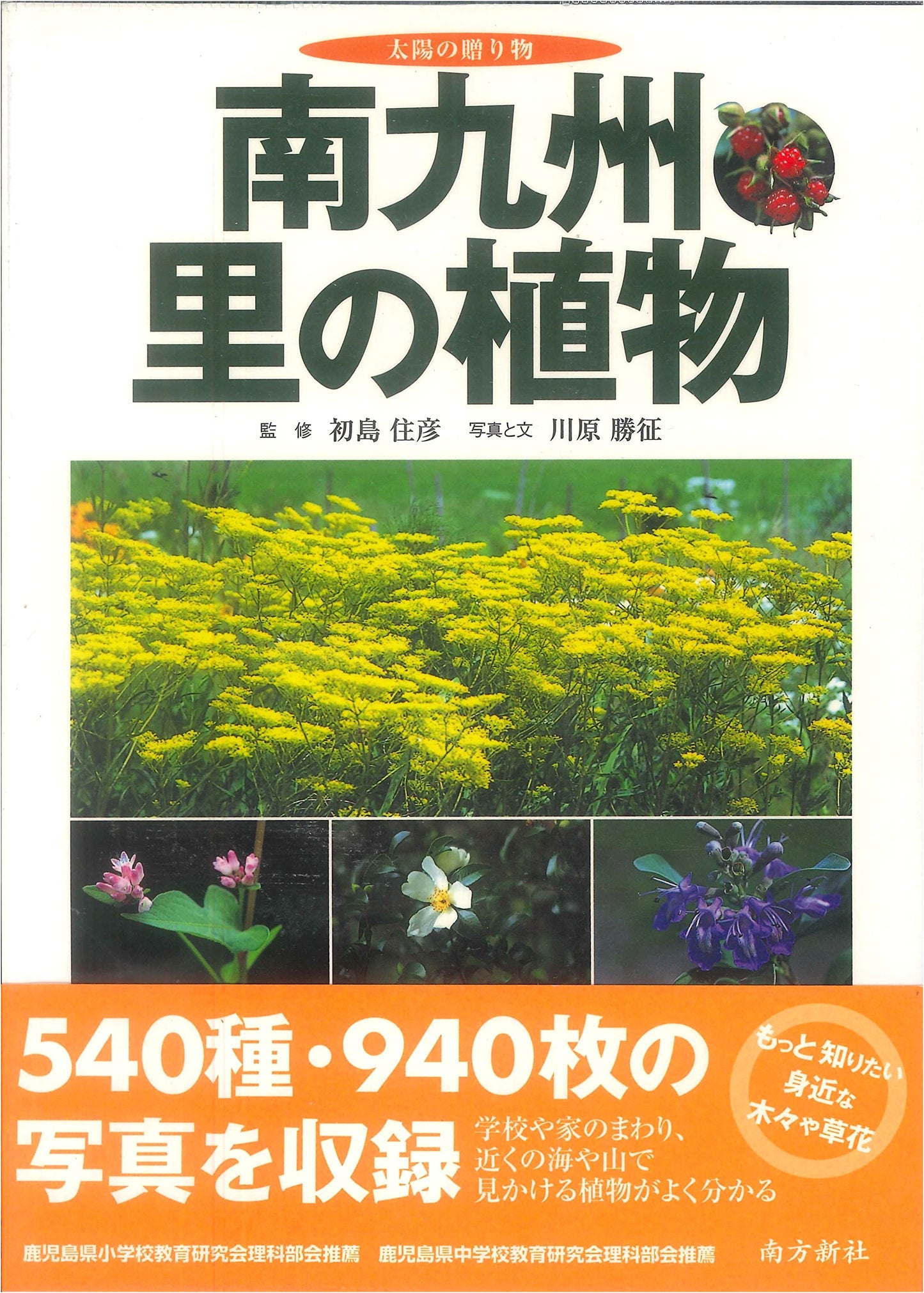 Rural Flora of Southern Kyushu