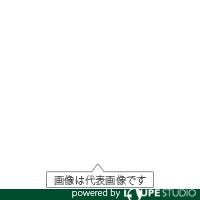 Nippon Seiki BN270125 Air Filter 25A