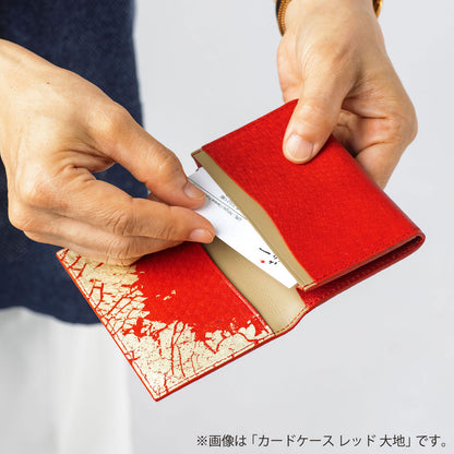 WBL Card Case Black - Daichi｜Kanazawa Gold Leaf | HAKUICHI STYLE