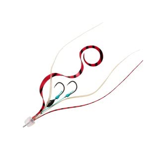 Daiwa Tairaba Koufang Unit Beta SS Nakai GD Lamé Red Z