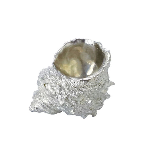 Tin Turban Shell-Shaped Small Dish
