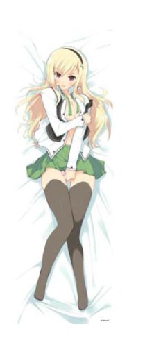 Pillow Cover Hoshino Miya Renka Original drawn Yaegashi south (japan import)