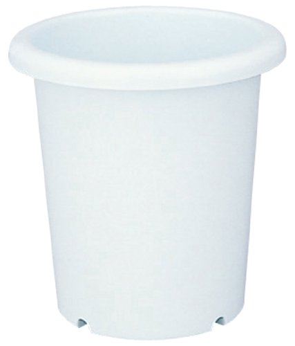 Richell Long Bowl, No. 10, White