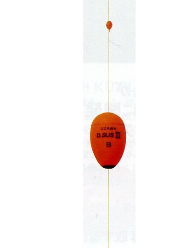 kizakura (kizakura) uzawa D. SUS2 Single item 2B Orange