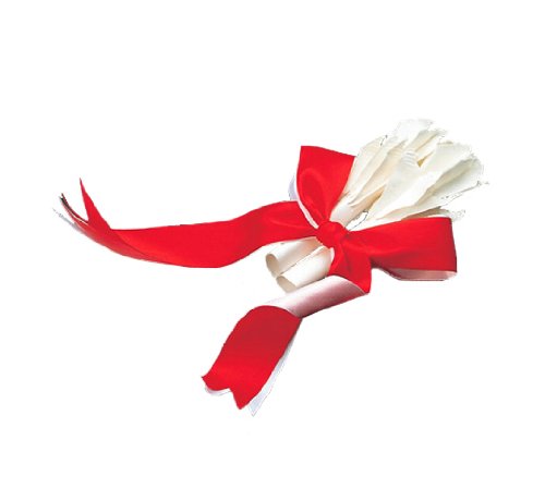 Turkey Flowers, Set of 2 (10 pieces) φ0.7 inches (18 mm)