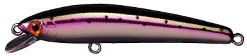 Smith Punish 85F 07_ Rainbow Trout