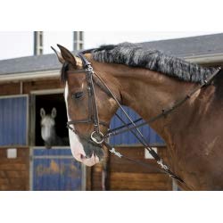 EKKIA (Ekia) 3338025590068 Horse Riding Equipment Black R.World GOGUE W/Pulleys PO.BLK 306396102, oner Size, Other