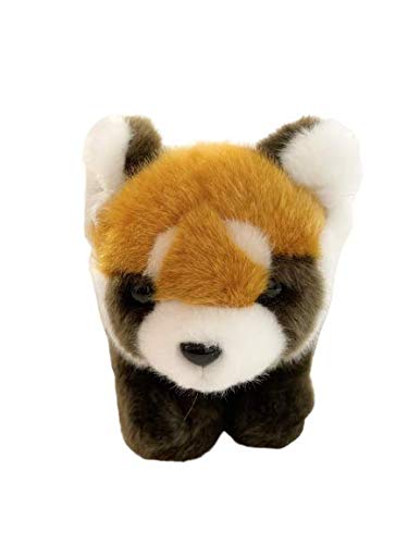 キュート販売 Cute Sale Red Panda M