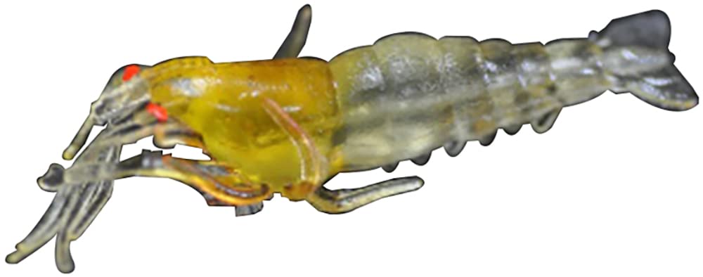 MARUSHINGYOGU Dragon Chibi Shrimp Worm (Pack of 5), Clear Orange