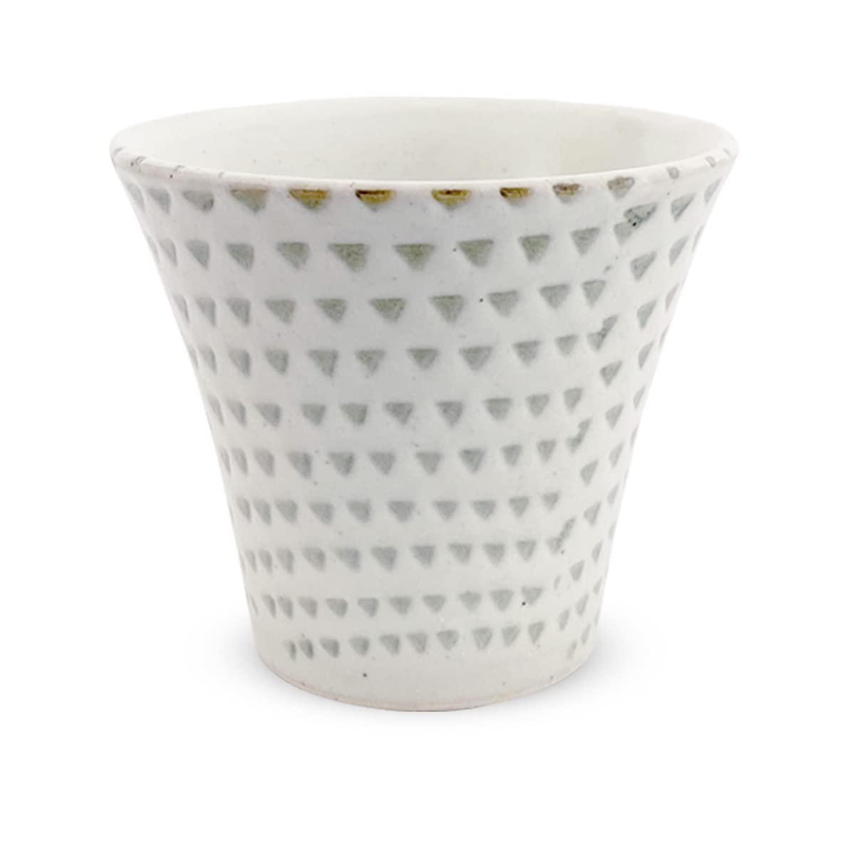 J-kitchens PNO606157 Dinner Tea Cup, 4.9 fl oz (140 cc), Hasami Ware, Made in Japan, Powder Coated Canna, Green
