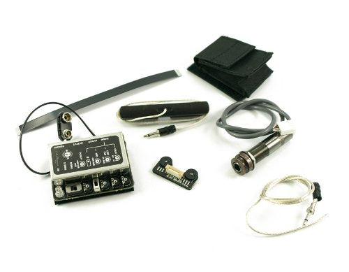 LR BAGGS INTERNAL PREAMP/MIXER WITH ELEMENT AND IBEAM PICKUPS AND REMOTE CONTROL II — NYLON STRING