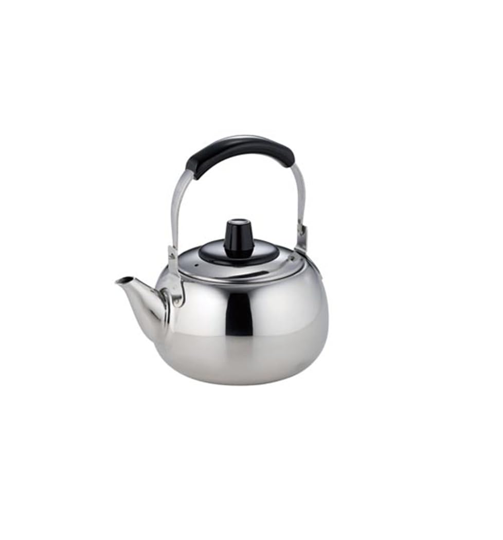 "Teapot Ichiban" Teapot with Vine with Tea Strainer 16.9 fl oz (500 cc)