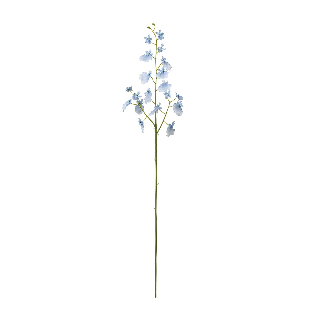 Tokyodo FM302518-105 Breeze on Sidium #105 Light Blue, Flower Diameter 1.0 - 1.6 x L25.2 x Width 5.9 inches (2.5 - 4 x 64 x 15 cm), Pack of 1