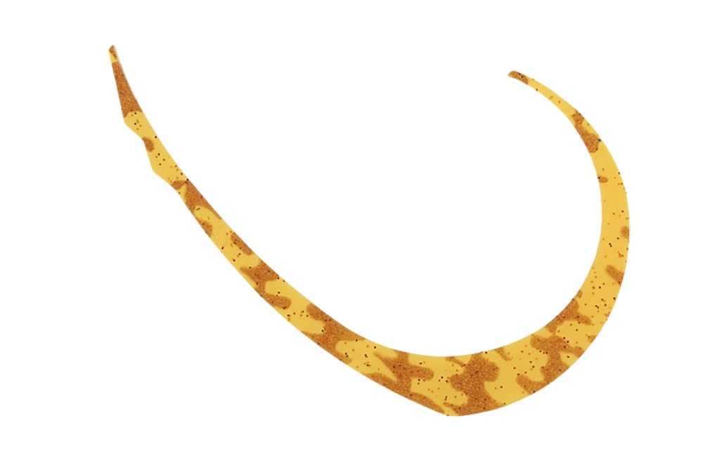 JACKALL Bin Switch T+ Necktie, Micro Curly, Wide Shrimp