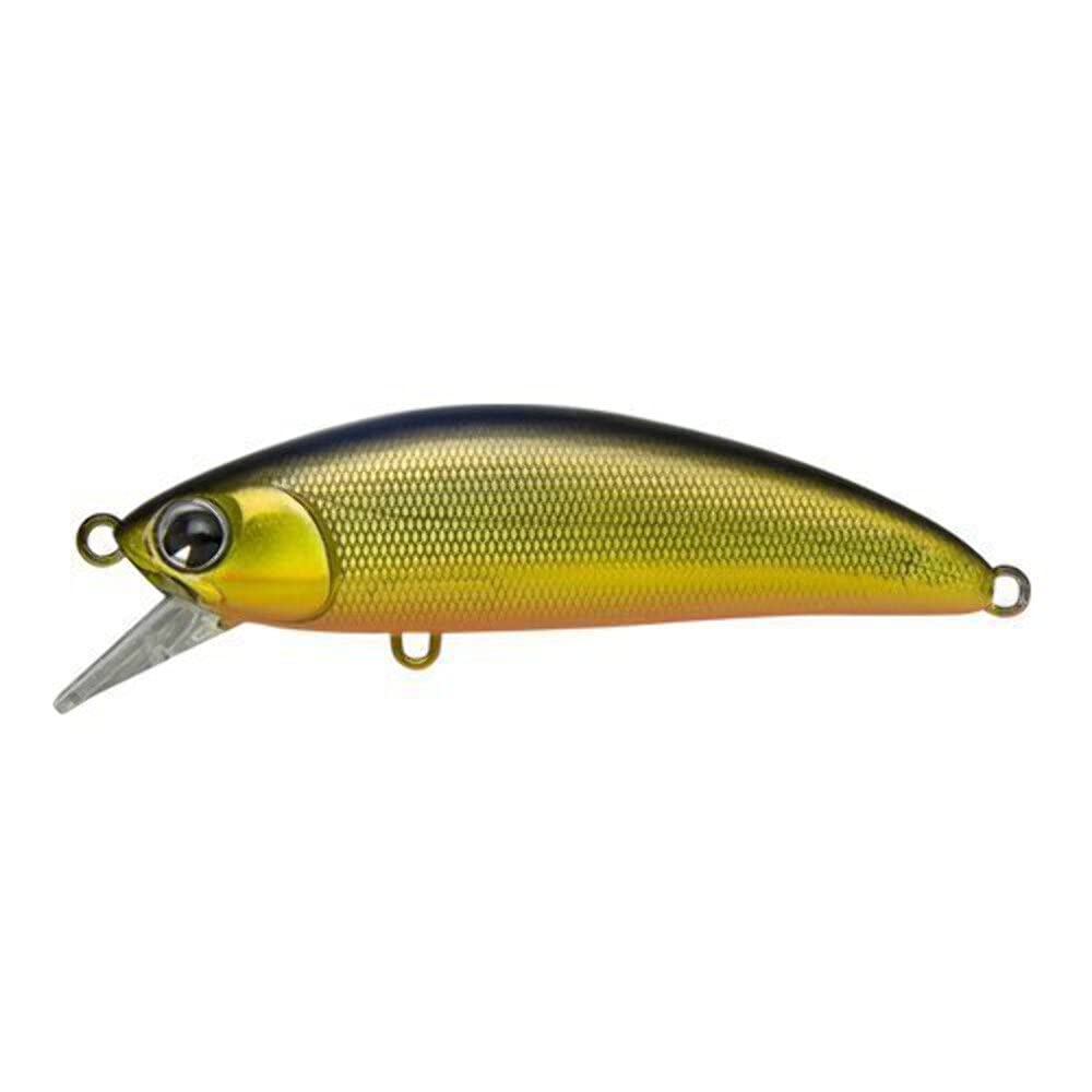 AMZ Design (ima) Minnow Skari SS 2.0 inches (50 mm) 0.2 oz (5 g) Gold Black #SU50SS-102 141356 Lure